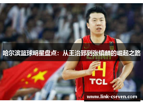 哈尔滨篮球明星盘点：从王治郅到张镇麟的崛起之路