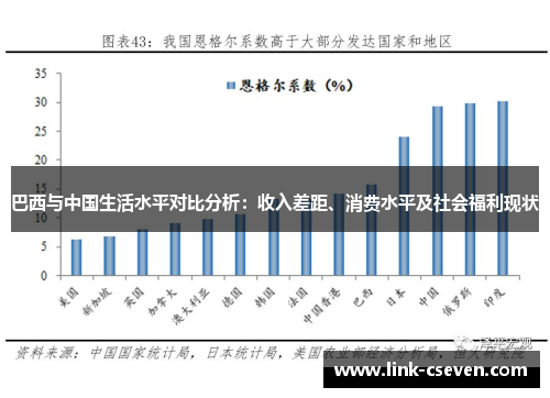 巴西与中国生活水平对比分析：收入差距、消费水平及社会福利现状