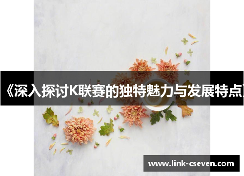 《深入探讨K联赛的独特魅力与发展特点》
