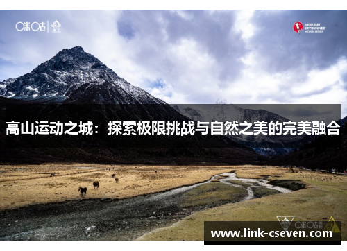 高山运动之城：探索极限挑战与自然之美的完美融合